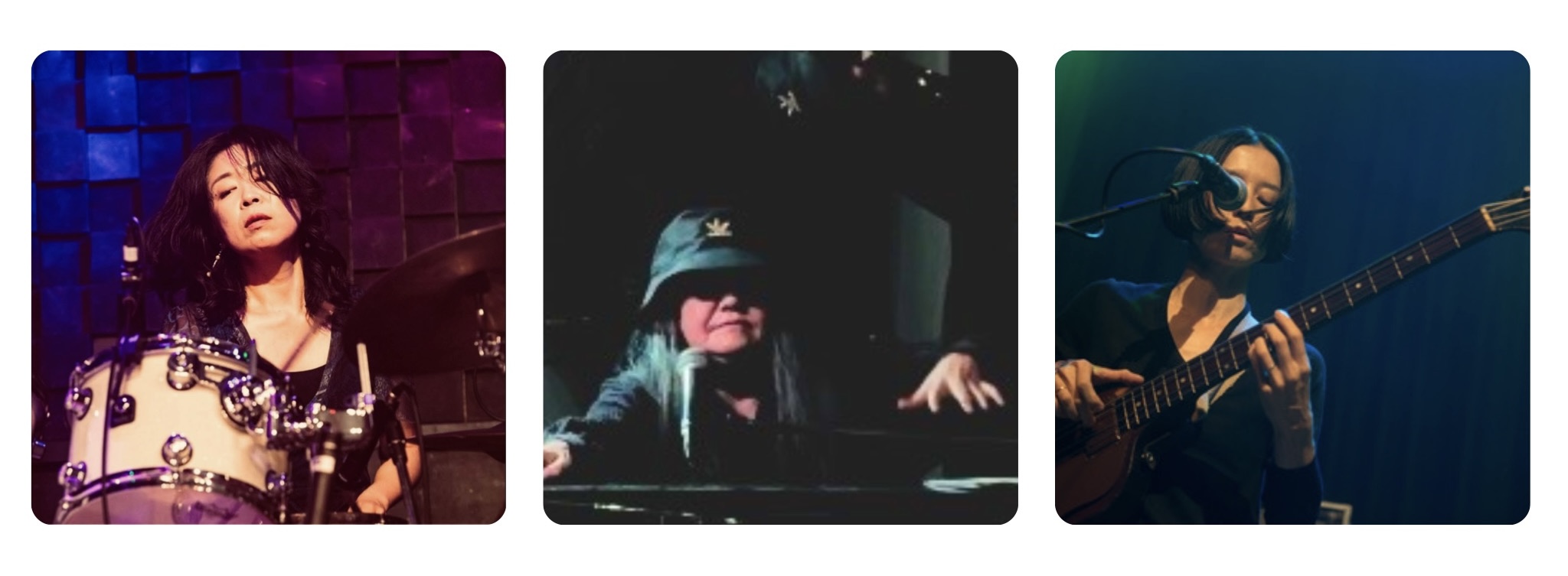 【 impro cats 】